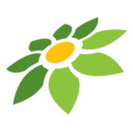 LINK AURA77